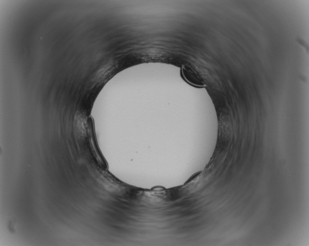 X0000096960188200802291130