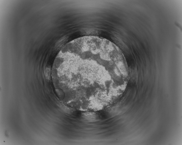 X0000096960189200802291130