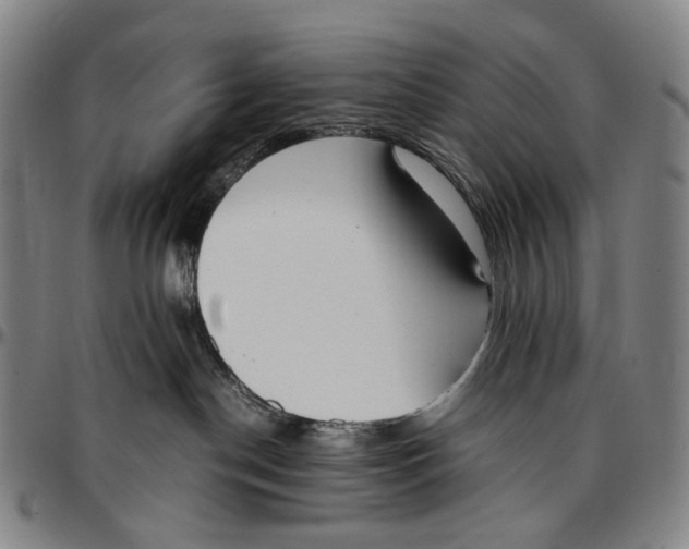 X0000096960190200802291130