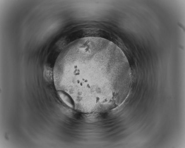 X0000096960191200802291130