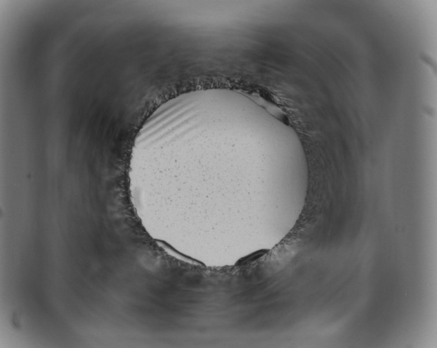 X0000096960192200802291130