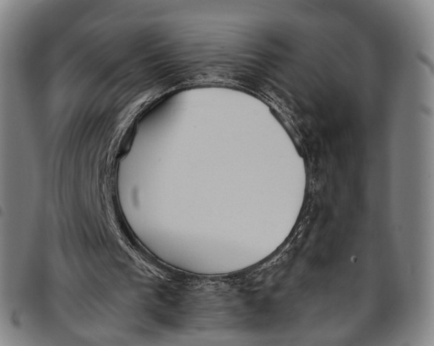 X0000096960193200802291129