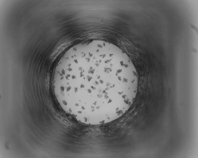 X0000096960194200802291129