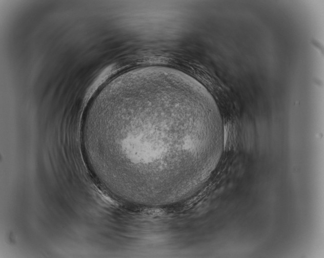 X0000096960195200802291129