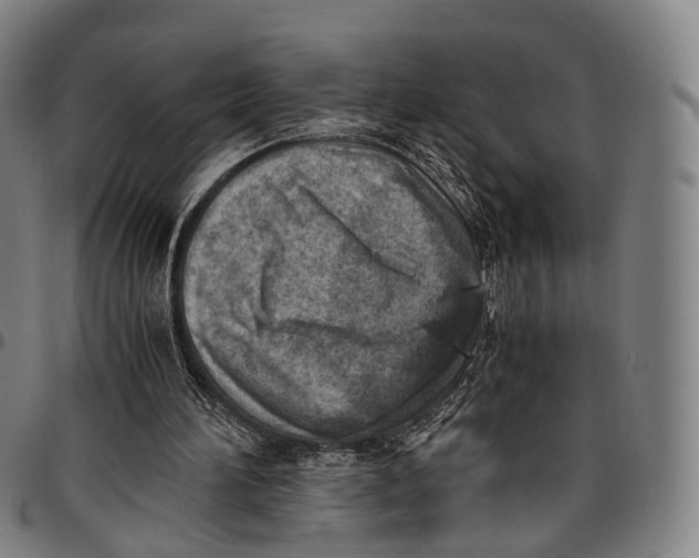 X0000096960196200802291129