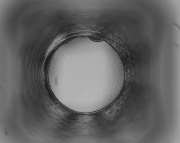 X0000096960198200802291129