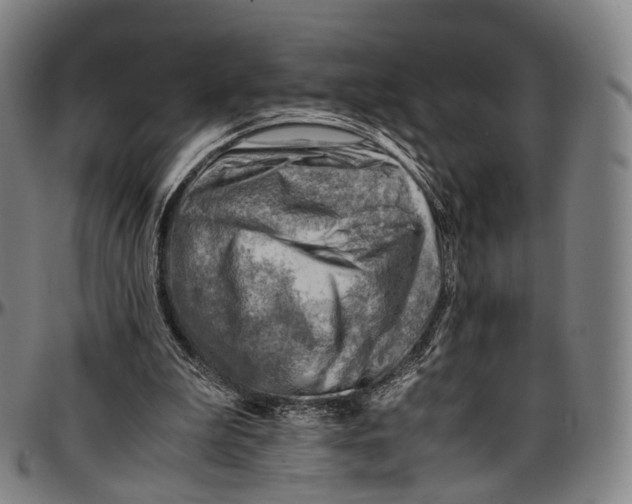 X0000096960199200802291129