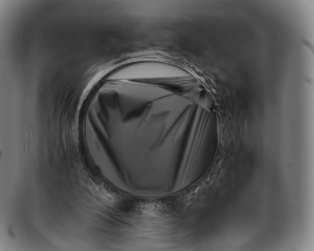 X0000096960200200802291129