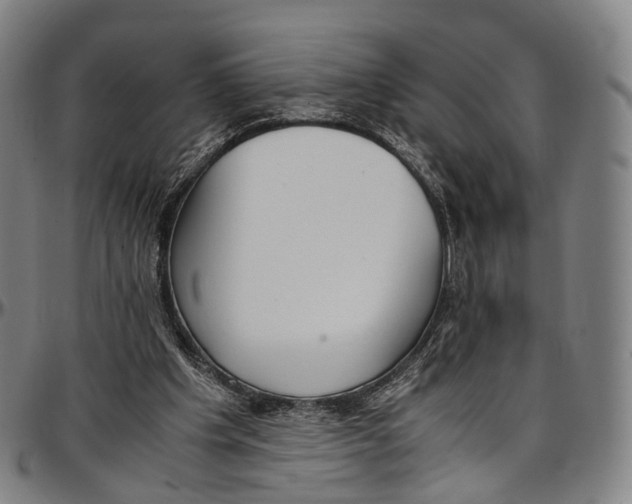 X0000096960201200802291129