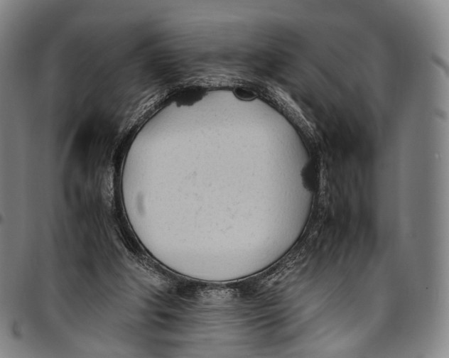 X0000096960202200802291129