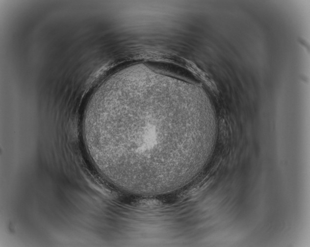 X0000096960203200802291129