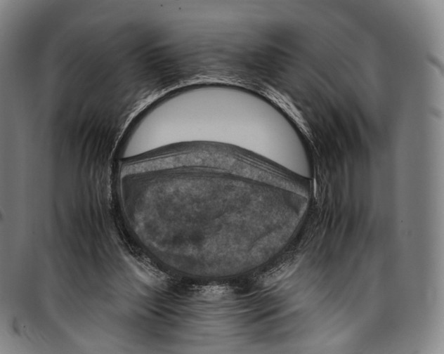 X0000096960204200802291129