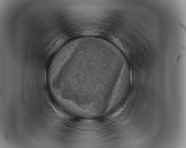 X0000096960205200802291129