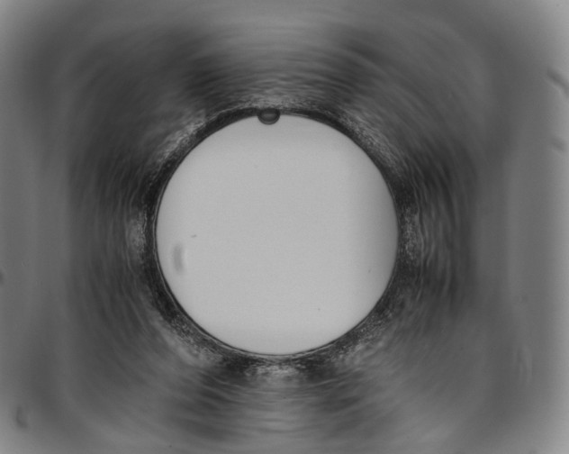 X0000096960208200802291129