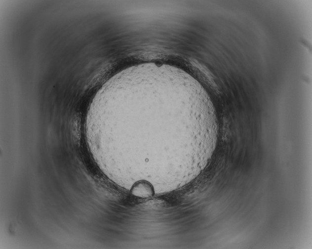 X0000096960210200802291129