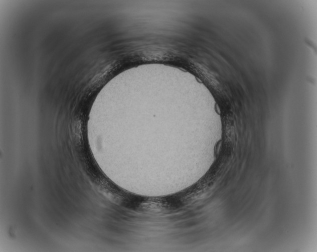 X0000096960211200802291129