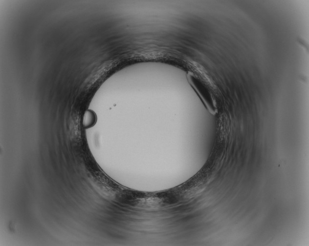 X0000096960212200802291129