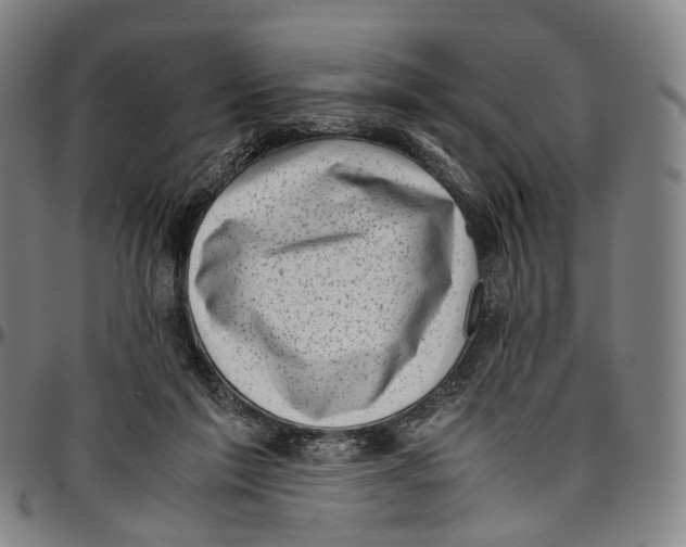 X0000096960213200802291129