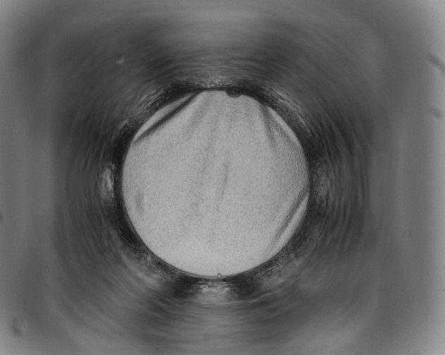 X0000096960214200802291129