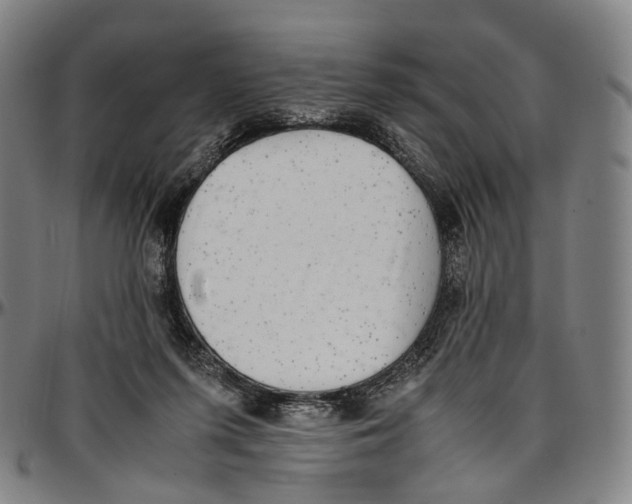 X0000096960215200802291129