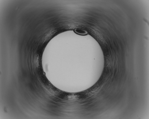 X0000096960216200802291129