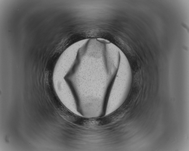 X0000096960217200802291129