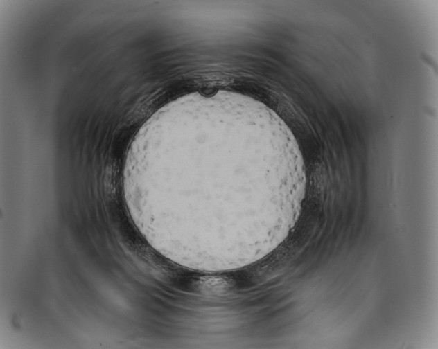 X0000096960218200802291129