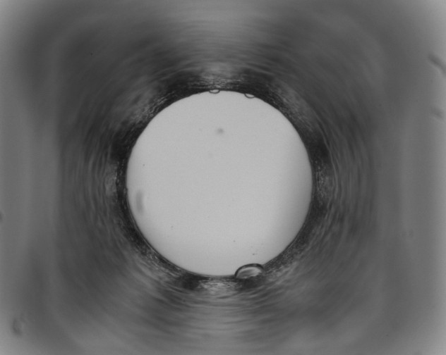 X0000096960221200802291129