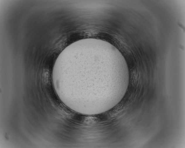 X0000096960222200802291129