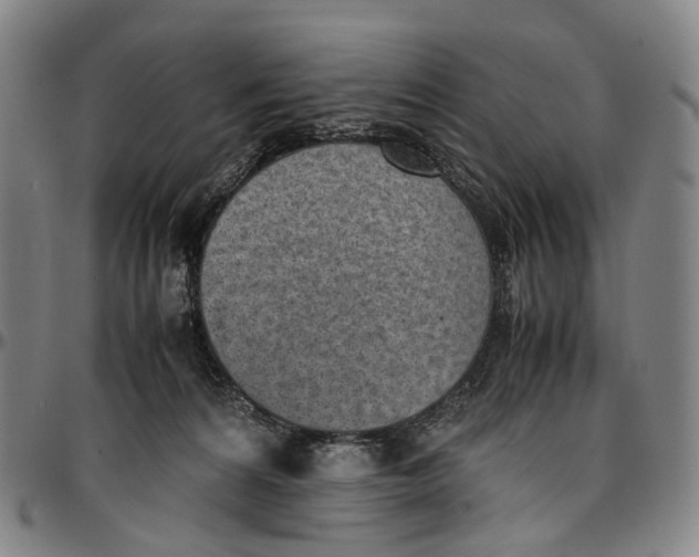 X0000096960224200802291129