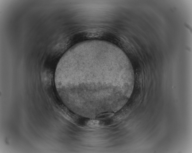 X0000096960227200802291129