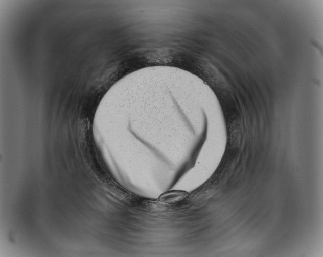 X0000096960229200802291129