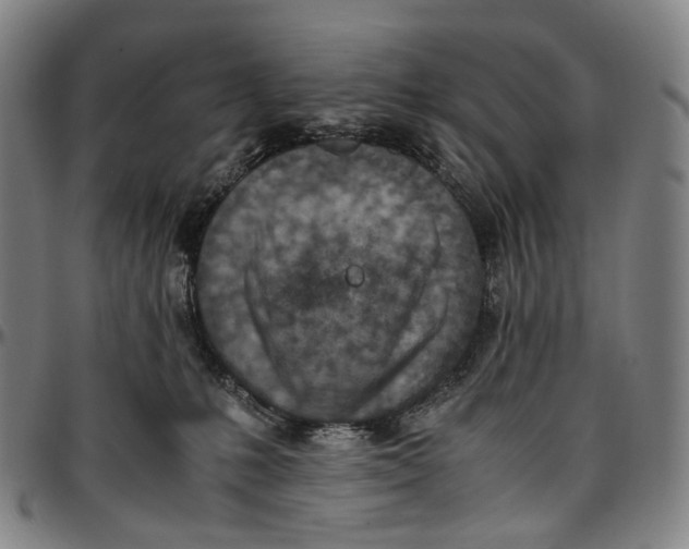 X0000096960231200802291128