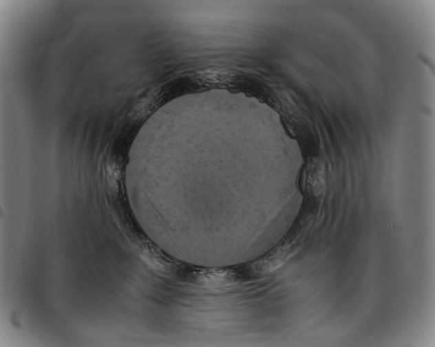 X0000096960235200802291128