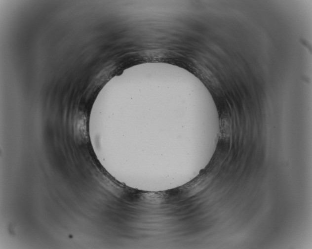 X0000096960238200802291128