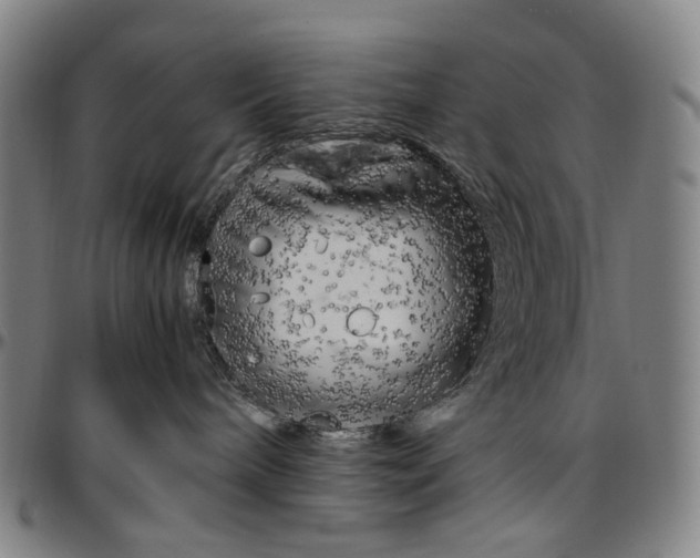 X0000096960240200802291128