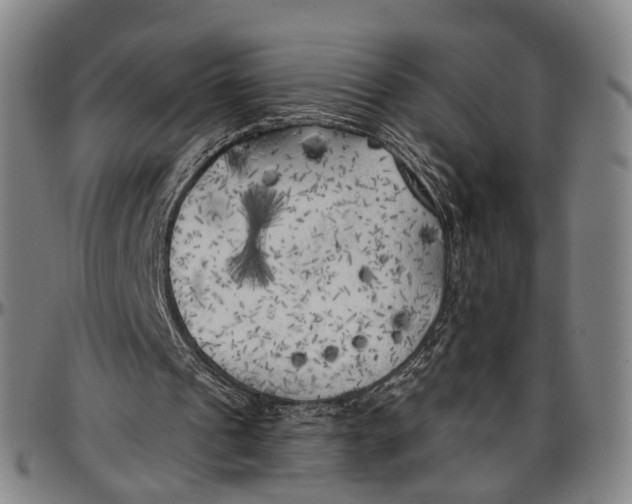 X0000096960241200802291128