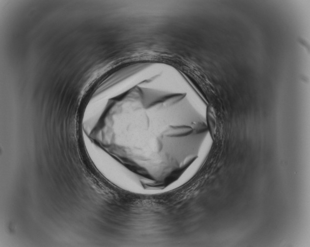 X0000096960244200802291128