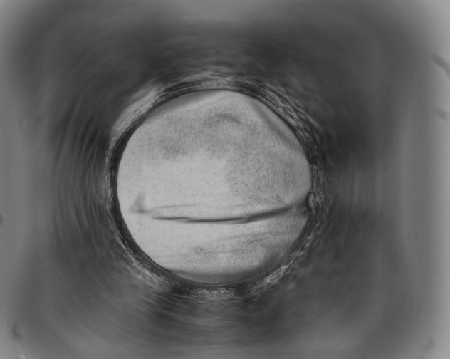 X0000096960245200802291128