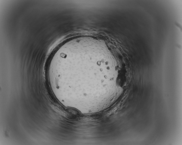 X0000096960246200802291128