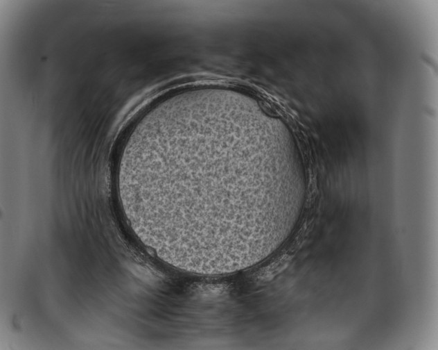 X0000096960247200802291128