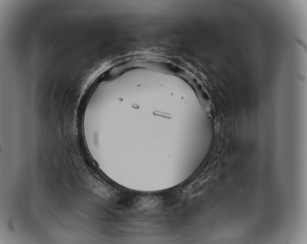 X0000096960248200802291128