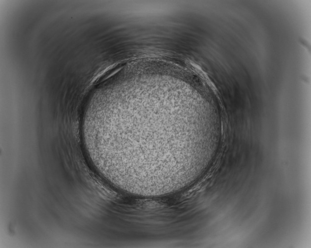 X0000096960249200802291128