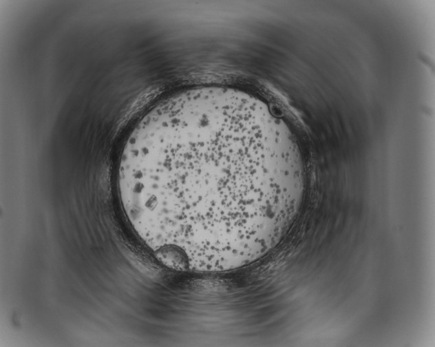 X0000096960250200802291128