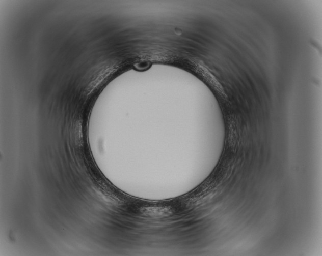 X0000096960251200802291128