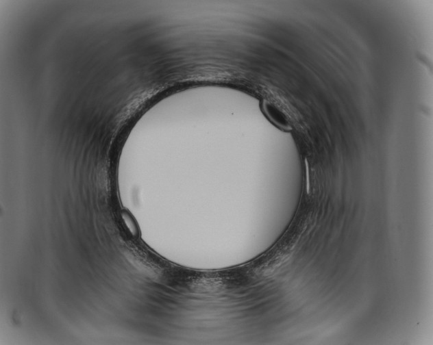 X0000096960252200802291128