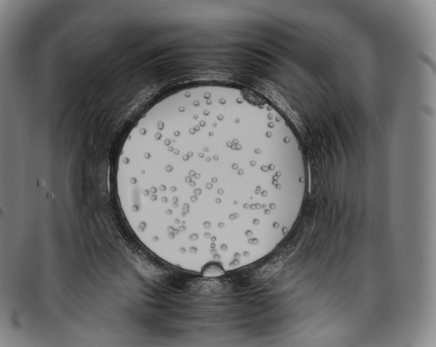 X0000096960253200802291128