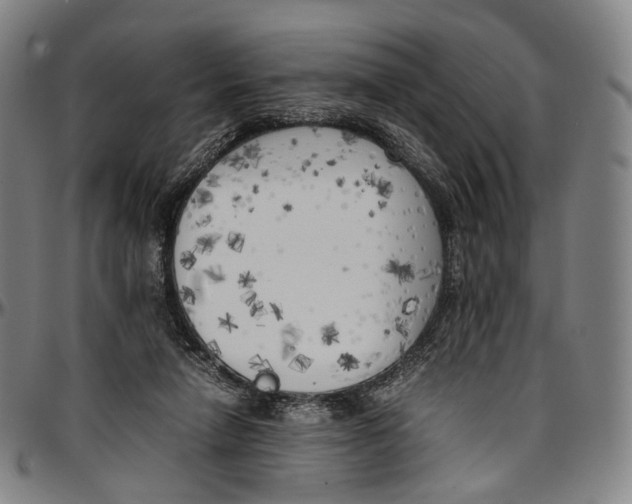 X0000096960258200802291128