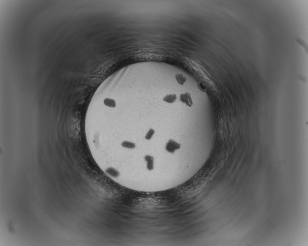 X0000096960259200802291128