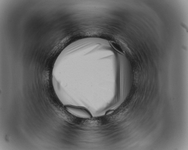 X0000096960260200802291128